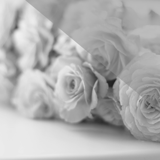 東京都中央区大人バレエ教室